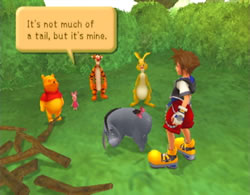 kingdom hearts 100 acre wood